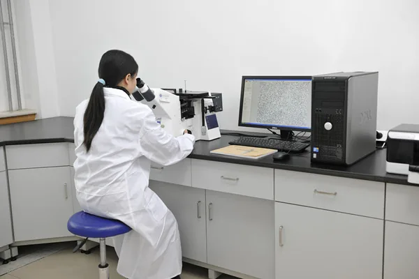 microscopio-metalografico-inclusiones.webp